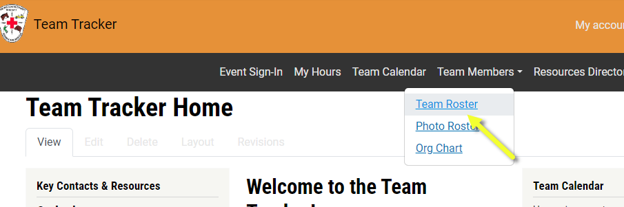 Team Roster menu screenshot